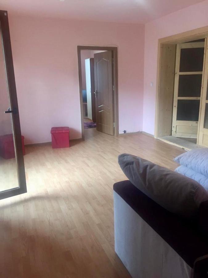 Pensiunea Magda Câmpulung Moldovenesc Dış mekan fotoğraf