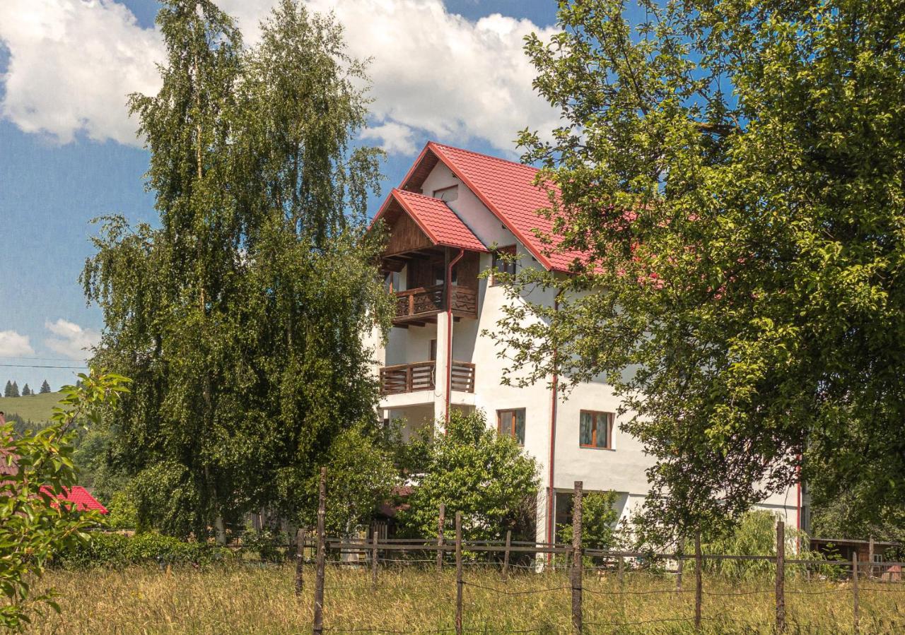 Pensiunea Magda Câmpulung Moldovenesc Dış mekan fotoğraf